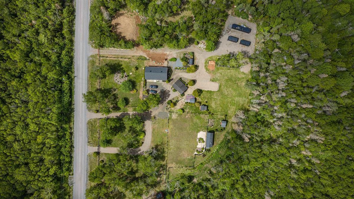  MLS ()