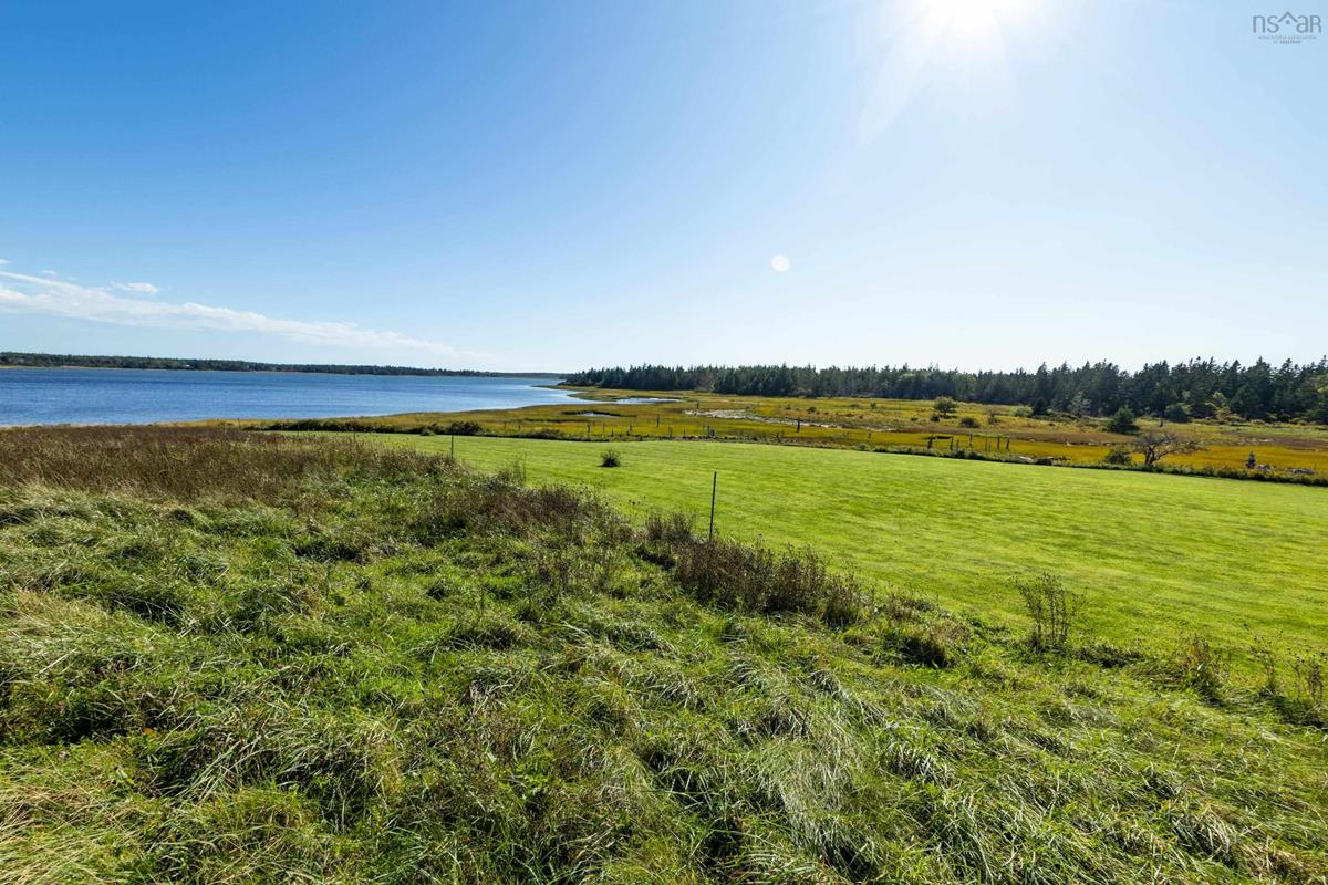  MLS ()