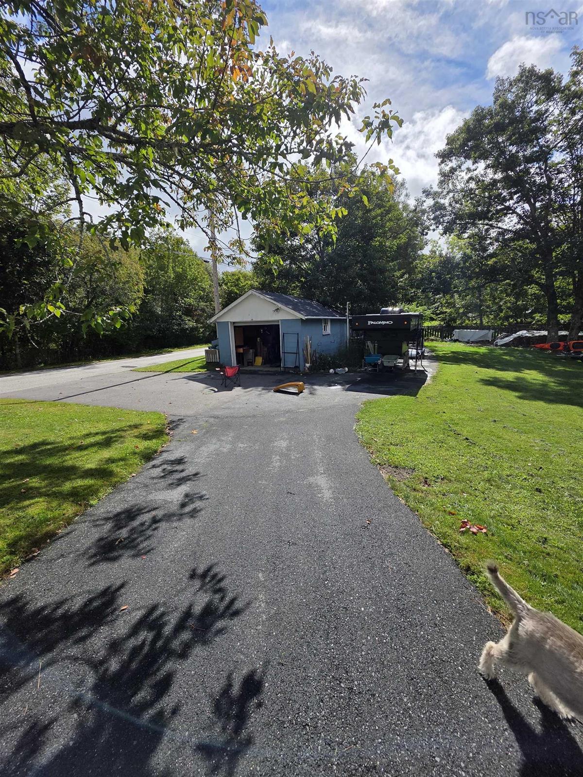  MLS ()