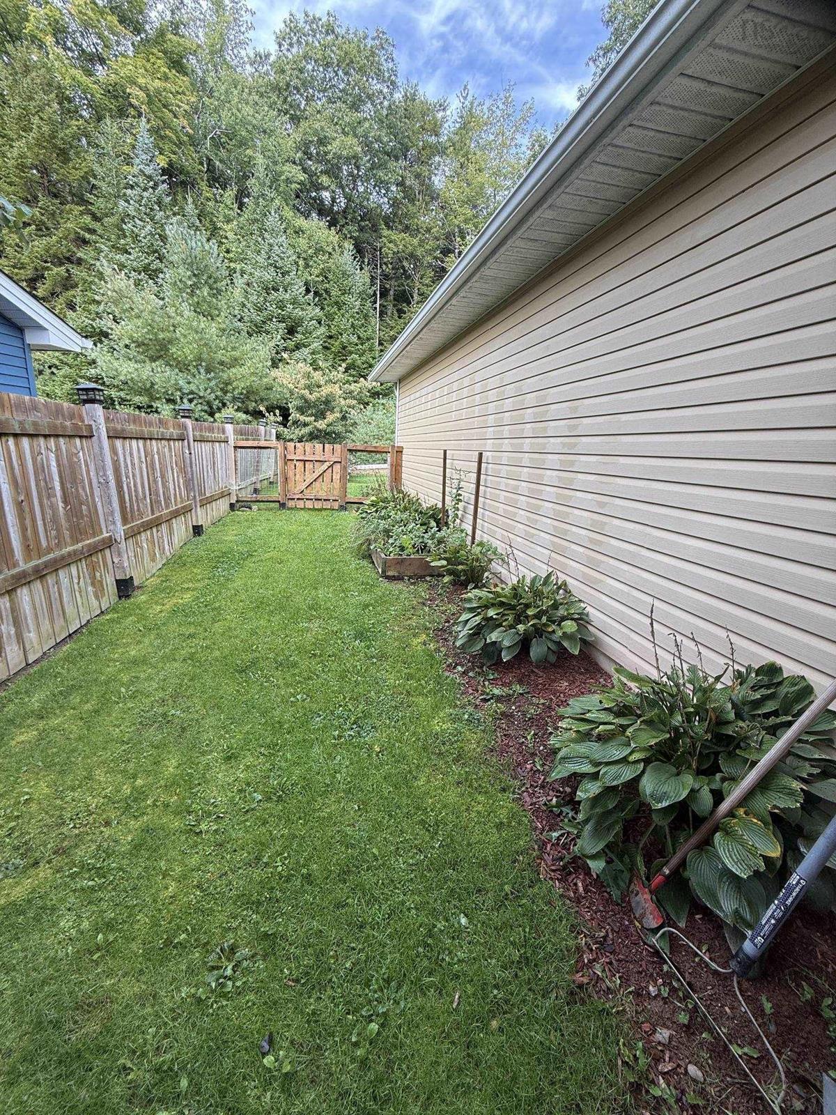  MLS ()
