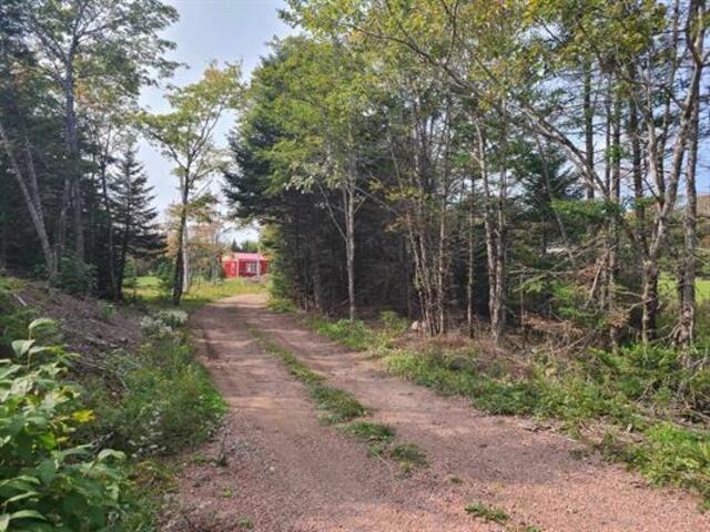  MLS ()