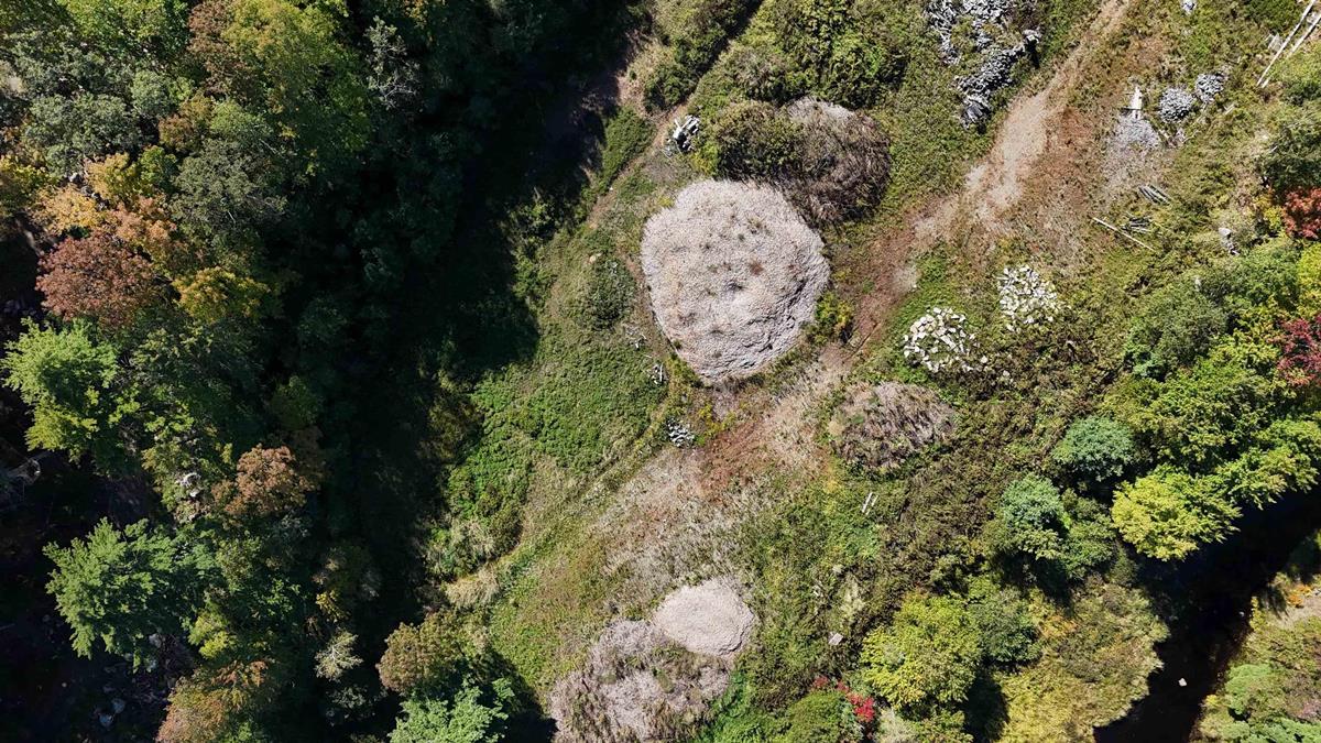  MLS ()