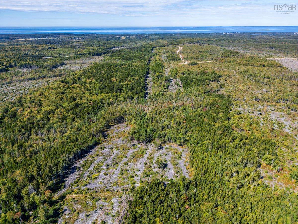  MLS ()