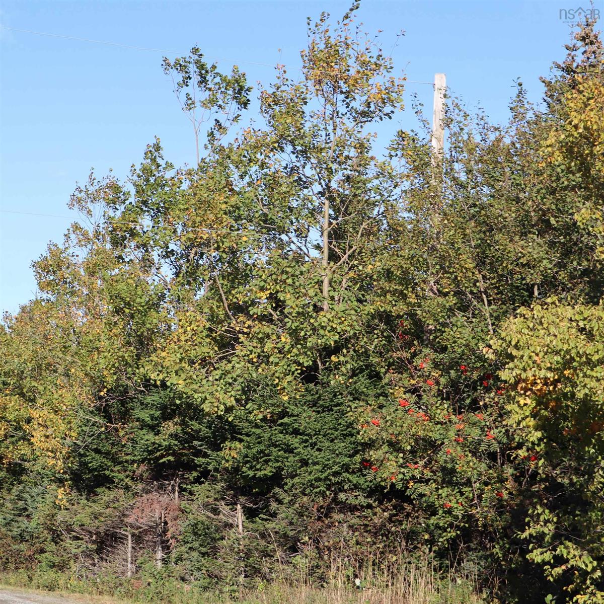 Clam Real Lot 77 Nebooktook Walk, Clam Harbour, (MLS® 202624832) REMAX NOVA