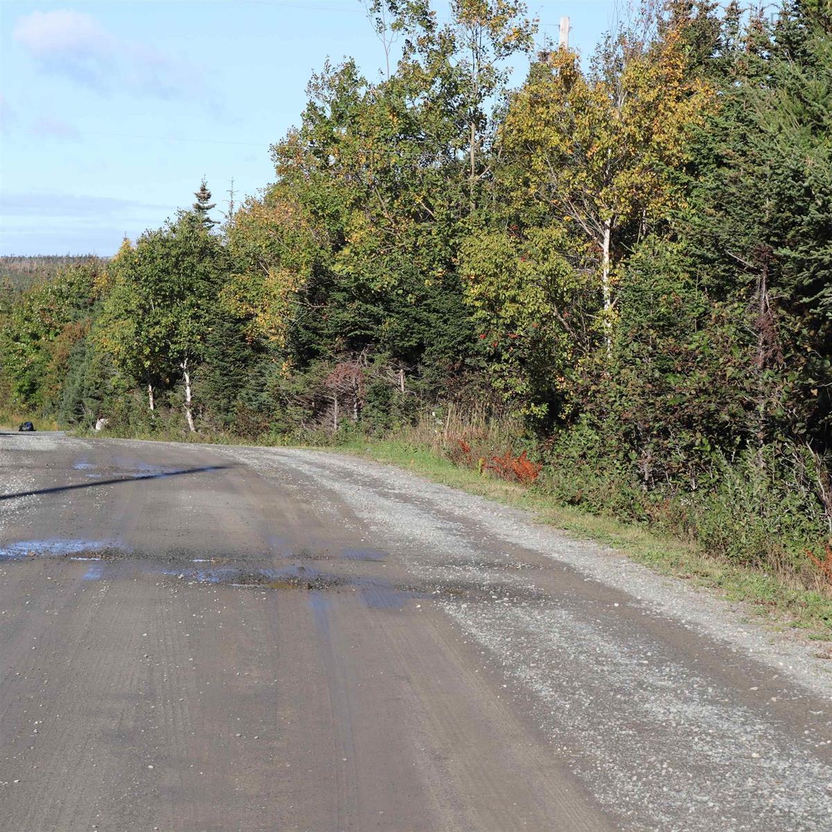 Clam Real Lot 77 Nebooktook Walk, Clam Harbour, (MLS® 202624832) REMAX NOVA