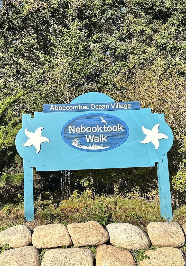 Clam Real Lot 77 Nebooktook Walk, Clam Harbour, (MLS® 202624832) REMAX NOVA