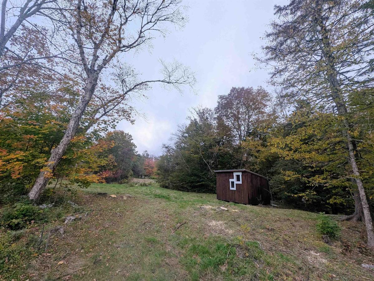  MLS ()