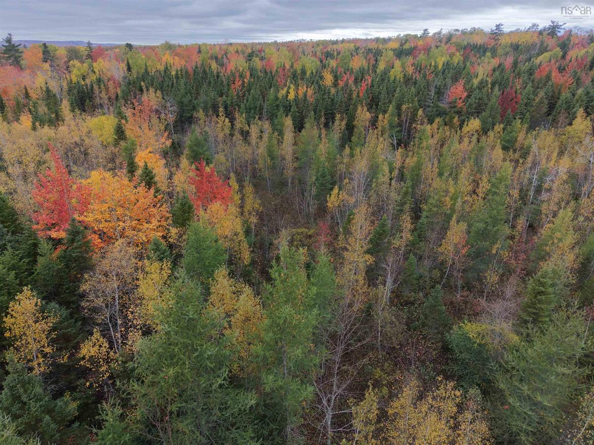  MLS ()