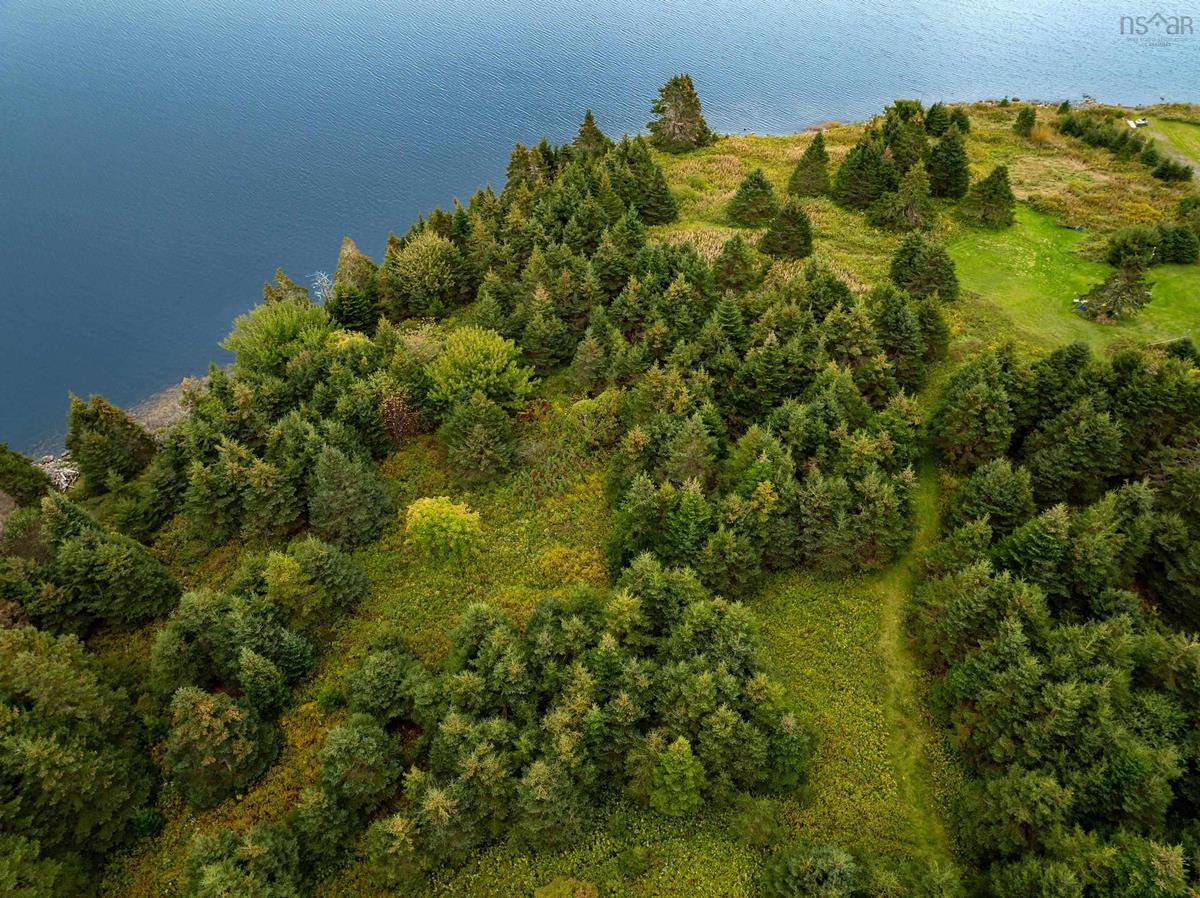  MLS ()