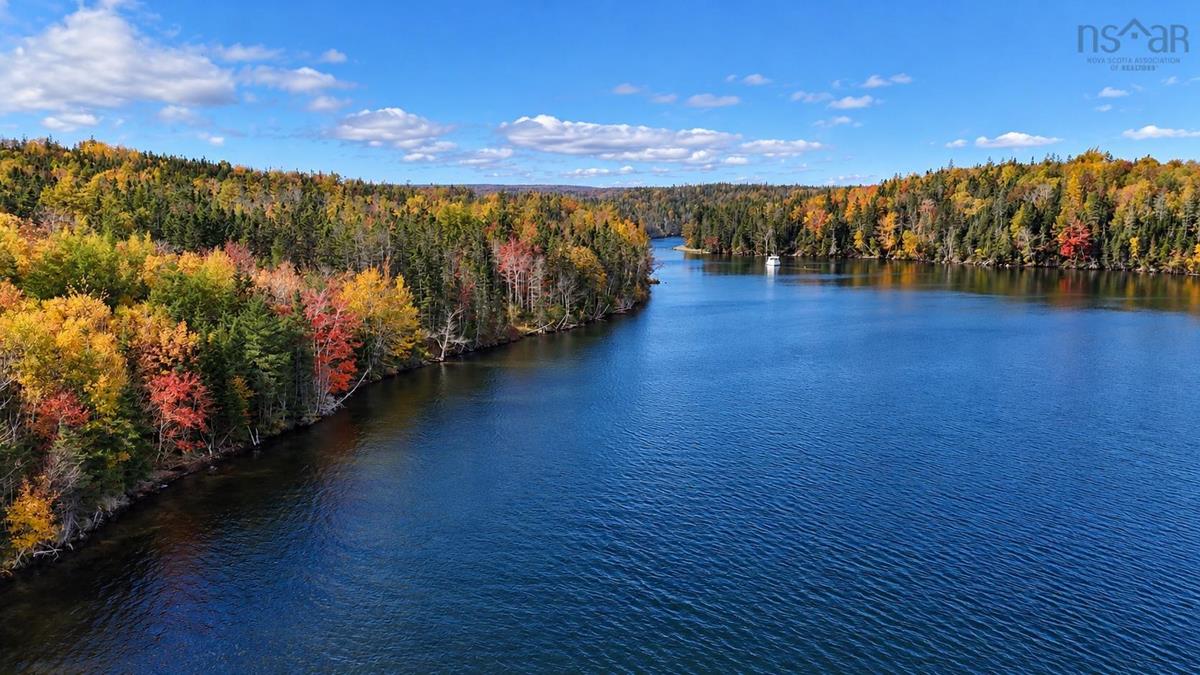  MLS ()
