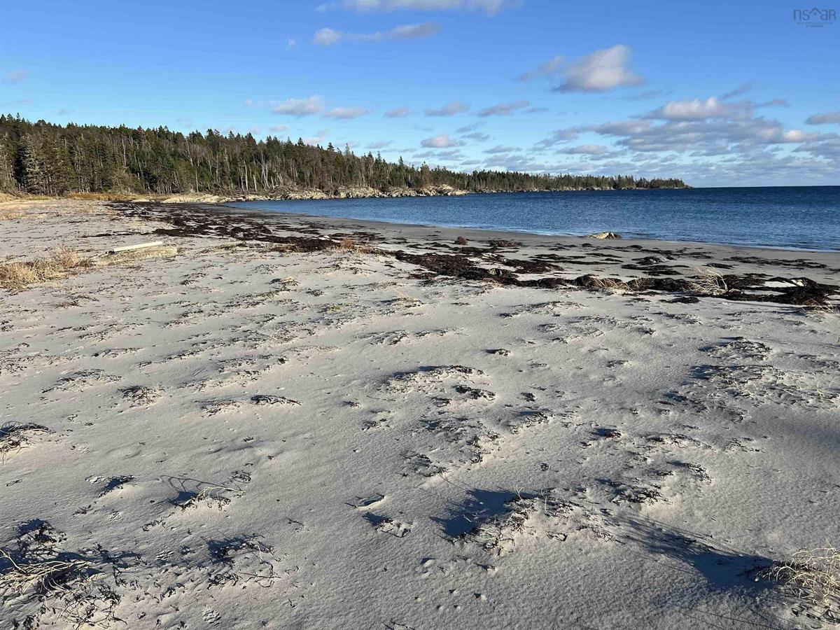  MLS ()
