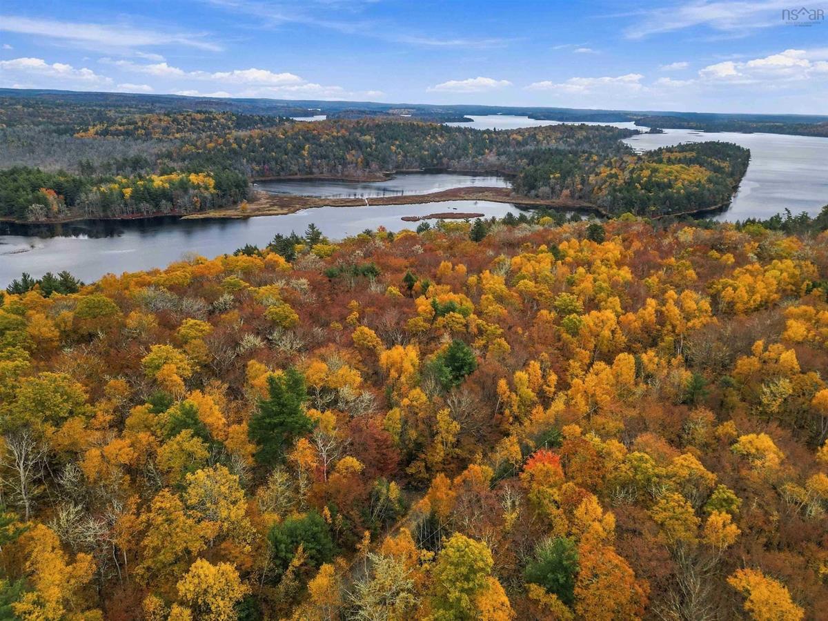  MLS ()